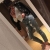 cellydie